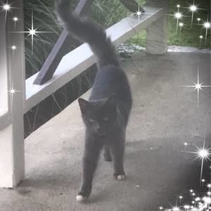 Meet your Posher, Noelle